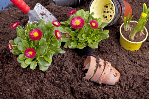 Professional landscapers working on a garden in Harlesden