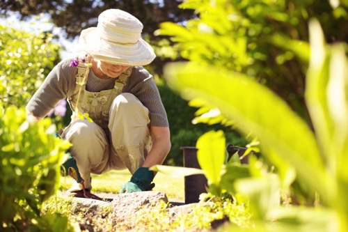 Team of gardeners starting work on a residential garden in Harlesden