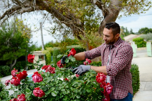 Inspector reviewing garden work during investigation of a complaint