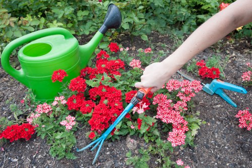 Lawn mowing and turf care equipment in a Harlesden green space