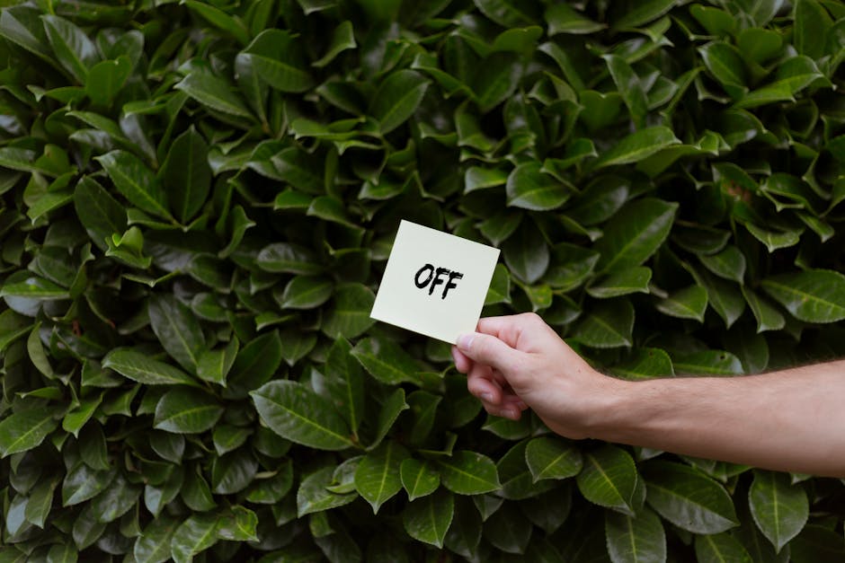 A close-up view of a dense, well-maintained green hedge with glossy, dark green leaves that have prominent veins. In front of the hedge, a person's hand is holding a small white sign with the word 'OF